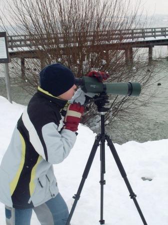 Vogelbeobachtung